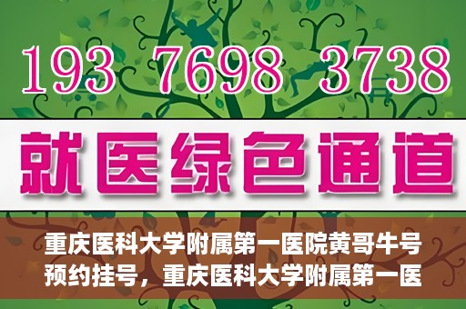 重庆医科大学附属第一医院黄哥牛号预约挂号，重庆医科大学附属第一医院黄哥牛号预约挂号攻略