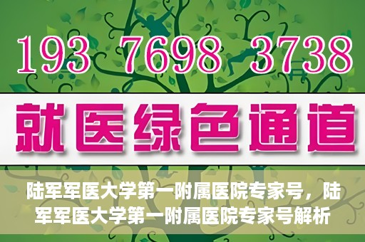 陆军军医大学第一附属医院专家号，陆军军医大学第一附属医院专家号解析，权威医疗团队的专业解读与诊疗服务