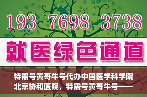 特需号黄哥牛号代办中国医学科学院北京协和医院，特需号黄哥牛号——北京协和医院代办服务详解