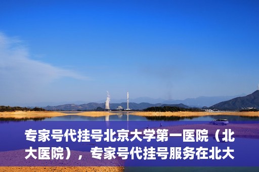 专家号代挂号北京大学第一医院（北大医院），专家号代挂号服务在北大医院，深度解析与指南