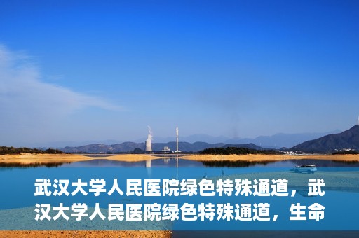 武汉大学人民医院绿色特殊通道，武汉大学人民医院绿色特殊通道，生命救援的紧急通道