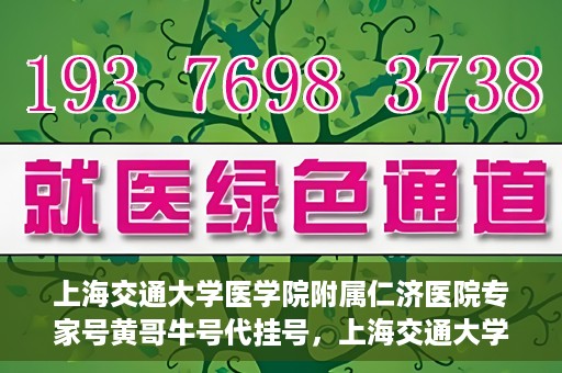 上海交通大学医学院附属仁济医院专家号黄哥牛号代挂号，上海交通大学医学院附属仁济医院专家号代挂号服务解析——黄哥牛号挂号攻略