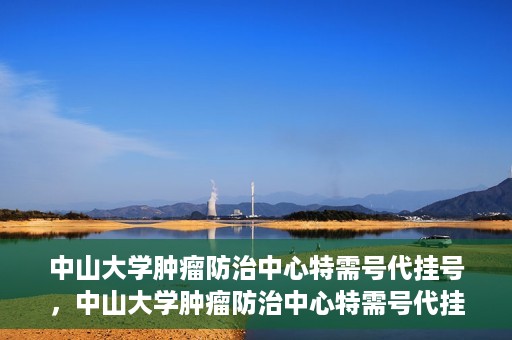 中山大学肿瘤防治中心特需号代挂号，中山大学肿瘤防治中心特需号代挂号服务详解