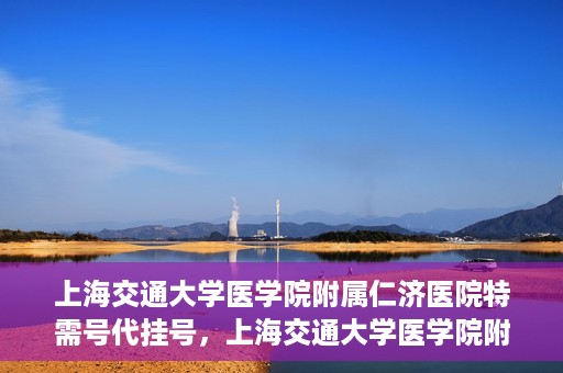 上海交通大学医学院附属仁济医院特需号代挂号，上海交通大学医学院附属仁济医院特需号代挂号服务详解