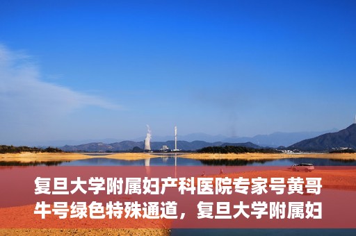 复旦大学附属妇产科医院专家号黄哥牛号绿色特殊通道，复旦大学附属妇产科医院专家号黄哥牛号，绿色特殊通道解析