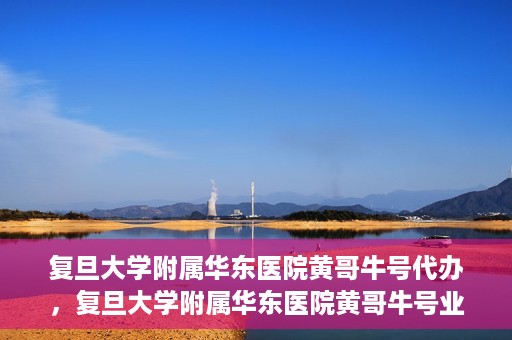 复旦大学附属华东医院黄哥牛号代办，复旦大学附属华东医院黄哥牛号业务代办攻略