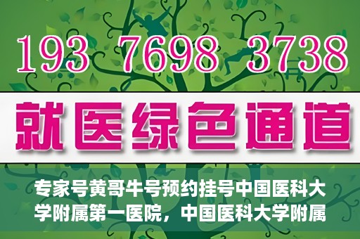 专家号黄哥牛号预约挂号中国医科大学附属第一医院，中国医科大学附属第一医院专家号黄哥牛号预约挂号指南