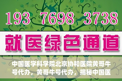 中国医学科学院北京协和医院黄哥牛号代办，黄哥牛号代办，揭秘中国医学科学院北京协和医院背后的故事