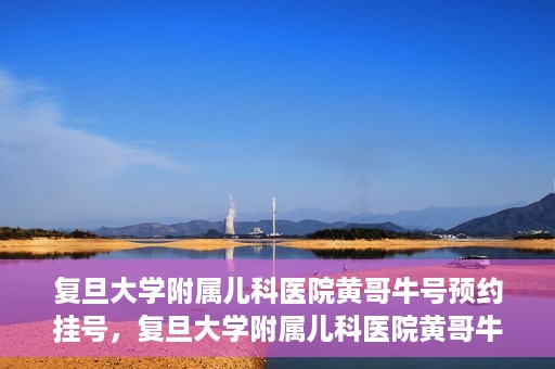 复旦大学附属儿科医院黄哥牛号预约挂号，复旦大学附属儿科医院黄哥牛号预约挂号攻略解析