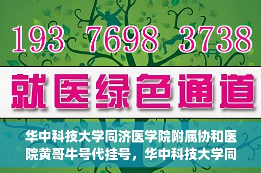 华中科技大学同济医学院附属协和医院黄哥牛号代挂号，华中科技大学同济医学院附属协和医院黄哥牛号代挂号服务详解