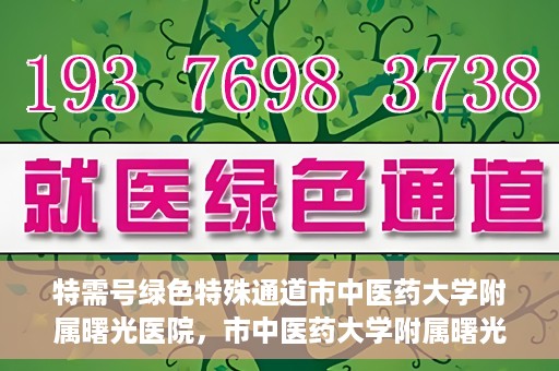 特需号绿色特殊通道市中医药大学附属曙光医院，市中医药大学附属曙光医院特需号绿色特殊通道，医疗服务的创新与升级