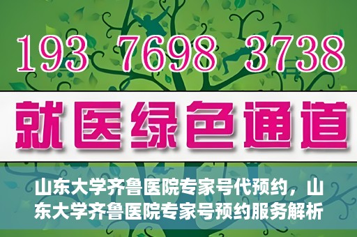 山东大学齐鲁医院专家号代预约，山东大学齐鲁医院专家号预约服务解析