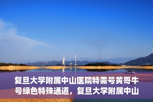复旦大学附属中山医院特需号黄哥牛号绿色特殊通道，复旦大学附属中山医院特需号黄哥牛号，绿色就医通道揭秘