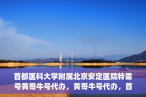 首都医科大学附属北京安定医院特需号黄哥牛号代办，黄哥牛号代办，首都医科大学附属北京安定医院特需号的便捷之路