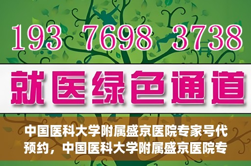 中国医科大学附属盛京医院专家号代预约，中国医科大学附属盛京医院专家号预约服务解析