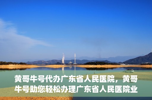 黄哥牛号代办广东省人民医院，黄哥牛号助您轻松办理广东省人民医院业务手续