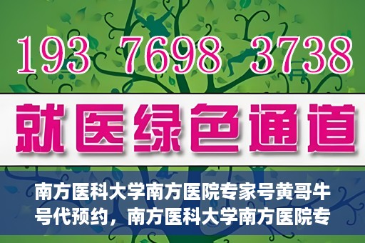 南方医科大学南方医院专家号黄哥牛号代预约，南方医科大学南方医院专家黄哥预约服务解析，便捷就医新选择