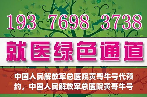 中国人民解放军总医院黄哥牛号代预约，中国人民解放军总医院黄哥牛号预约服务解析