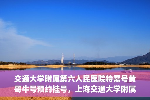交通大学附属第六人民医院特需号黄哥牛号预约挂号，上海交通大学附属第六人民医院特需号专家黄哥牛号预约挂号攻略