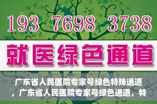 广东省人民医院专家号绿色特殊通道，广东省人民医院专家号绿色通道，特殊通道助力患者高效就医