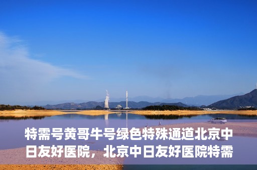 特需号黄哥牛号绿色特殊通道北京中日友好医院，北京中日友好医院特需绿色特殊通道，黄哥牛号就医体验新篇章