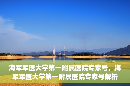 海军军医大学第一附属医院专家号，海军军医大学第一附属医院专家号解析，权威医疗团队的专业解读与诊疗服务
