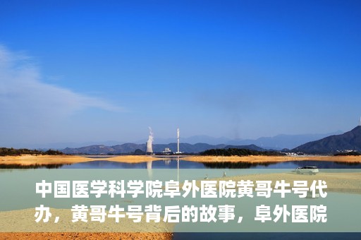 中国医学科学院阜外医院黄哥牛号代办，黄哥牛号背后的故事，阜外医院名医揭秘与医疗服务的深度解读