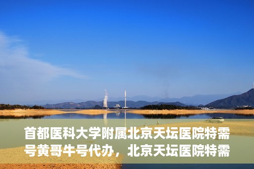 首都医科大学附属北京天坛医院特需号黄哥牛号代办，北京天坛医院特需号黄哥牛号代办服务详解