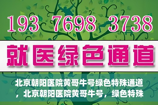 北京朝阳医院黄哥牛号绿色特殊通道，北京朝阳医院黄哥牛号，绿色特殊通道开启健康之门