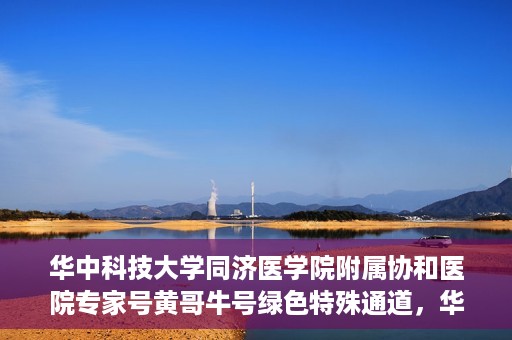 华中科技大学同济医学院附属协和医院专家号黄哥牛号绿色特殊通道，华中科技大学同济医学院附属协和医院专家号黄哥牛号，绿色特殊通道揭秘