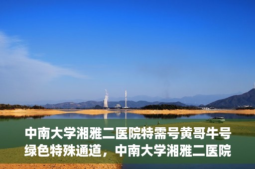 中南大学湘雅二医院特需号黄哥牛号绿色特殊通道，中南大学湘雅二医院特需号黄哥牛号，绿色就医特殊通道揭秘