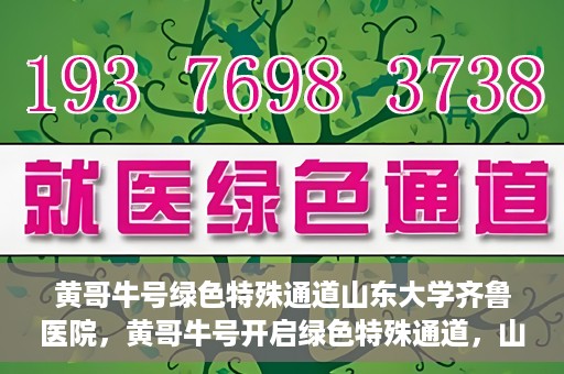 黄哥牛号绿色特殊通道山东大学齐鲁医院，黄哥牛号开启绿色特殊通道，山东大学齐鲁医院焕新篇章