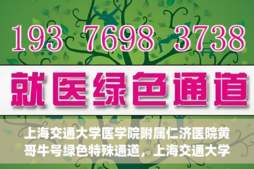 上海交通大学医学院附属仁济医院黄哥牛号绿色特殊通道，上海交通大学医学院附属仁济医院绿色特殊通道，黄哥牛号启动