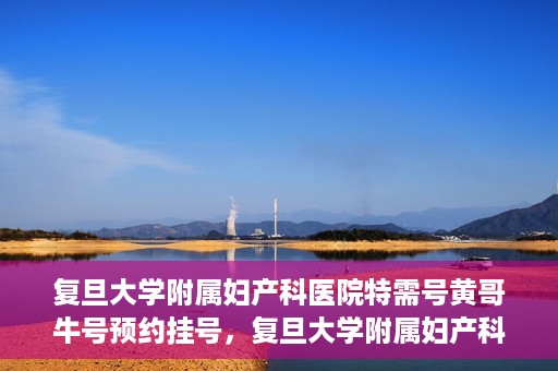 复旦大学附属妇产科医院特需号黄哥牛号预约挂号，复旦大学附属妇产科医院特需号黄哥牛号预约挂号攻略揭秘
