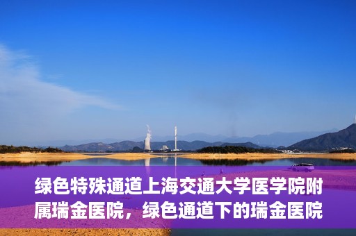 绿色特殊通道上海交通大学医学院附属瑞金医院，绿色通道下的瑞金医院，探索医疗创新的绿色路径