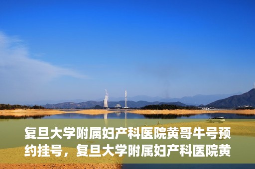复旦大学附属妇产科医院黄哥牛号预约挂号，复旦大学附属妇产科医院黄哥牛挂号预约攻略解析