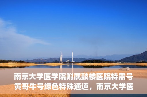 南京大学医学院附属鼓楼医院特需号黄哥牛号绿色特殊通道，南京大学医学院附属鼓楼医院特需号黄哥牛号，绿色特殊通道揭秘