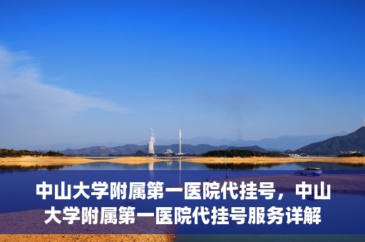 中山大学附属第一医院代挂号，中山大学附属第一医院代挂号服务详解