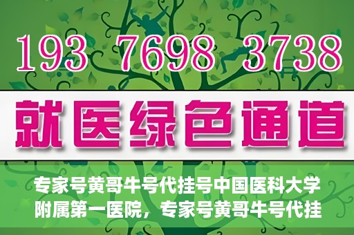 专家号黄哥牛号代挂号中国医科大学附属第一医院，专家号黄哥牛号代挂号，揭秘中国医科大学附属第一医院挂号背后的故事