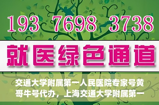 交通大学附属第一人民医院专家号黄哥牛号代办，上海交通大学附属第一人民医院专家号代办服务揭秘，黄哥牛号助您轻松预约专家资源
