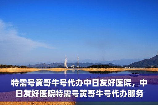 特需号黄哥牛号代办中日友好医院，中日友好医院特需号黄哥牛号代办服务详解
