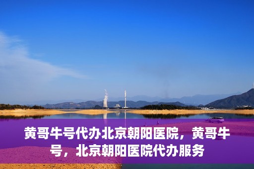 黄哥牛号代办北京朝阳医院，黄哥牛号，北京朝阳医院代办服务