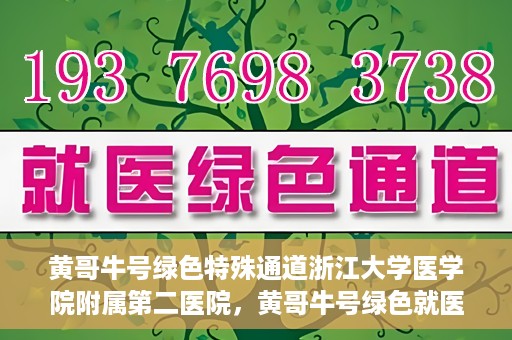 黄哥牛号绿色特殊通道浙江大学医学院附属第二医院，黄哥牛号绿色就医通道，浙江大学医学院附属第二医院的探索与实践