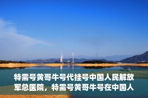 特需号黄哥牛号代挂号中国人民解放军总医院，特需号黄哥牛号在中国人民解放军总医院代挂号实录