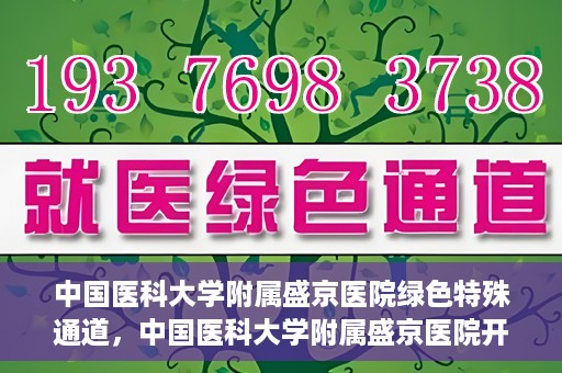 中国医科大学附属盛京医院绿色特殊通道，中国医科大学附属盛京医院开通绿色特殊通道，助力患者快速就医
