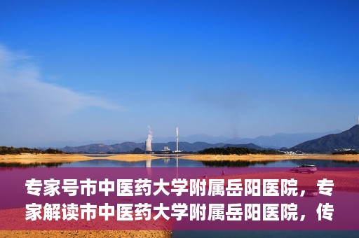 专家号市中医药大学附属岳阳医院，专家解读市中医药大学附属岳阳医院，传统医学与现代医疗的交融