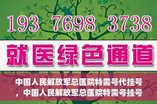 中国人民解放军总医院特需号代挂号，中国人民解放军总医院特需号挂号服务解析
