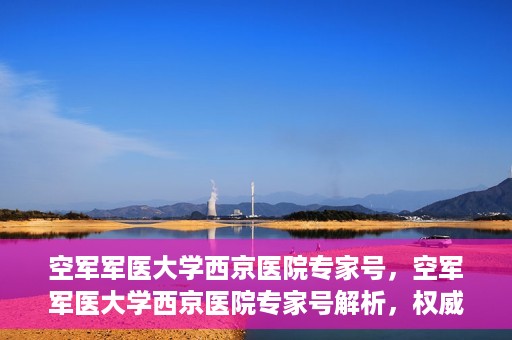 空军军医大学西京医院专家号，空军军医大学西京医院专家号解析，权威医疗团队的专业解读与深度解读