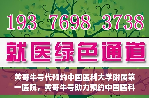 黄哥牛号代预约中国医科大学附属第一医院，黄哥牛号助力预约中国医科大学附属第一医院专家号