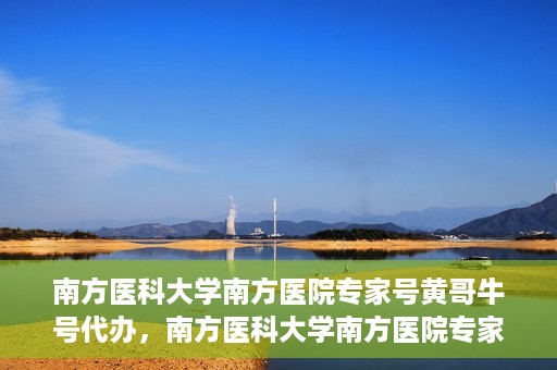 南方医科大学南方医院专家号黄哥牛号代办，南方医科大学南方医院专家号黄哥牛号预约代办服务解析